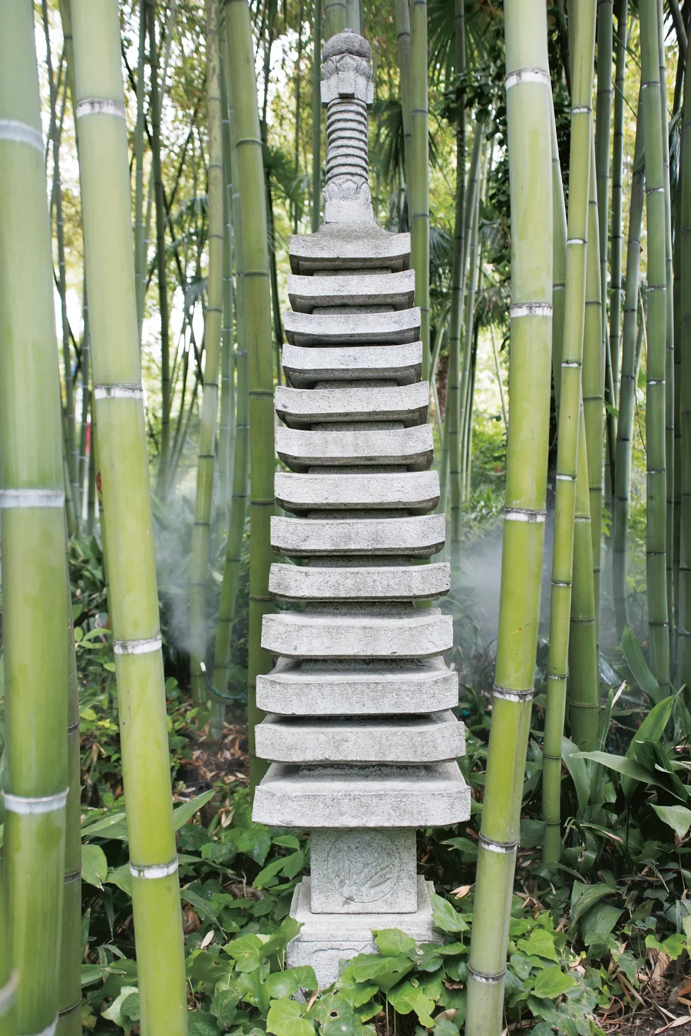 Scultura Nel Bambu